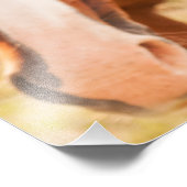 Pferd verstecken sich hinter Pferd Fotodruck (Ecke)