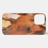 Pferd verstecken sich hinter Pferd iPhone Hülle (Rückseite (Horizontal))