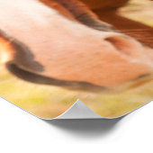 Pferd verstecken sich hinter Pferd Poster (Ecke)