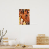 Pferd verstecken sich hinter Pferd Poster (Küche)