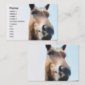 Pferd Visitenkarte (Vorne/Hinten)