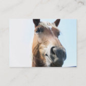 Pferd Visitenkarte (Rückseite)