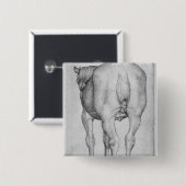 Pferd, vom Vallardi Album Button (Vorne & Hinten)