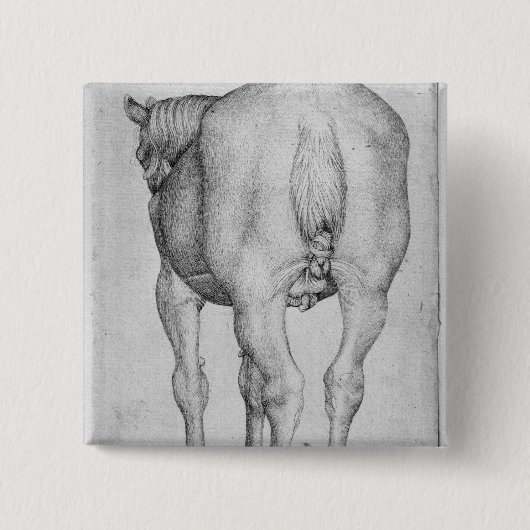 Pferd, vom Vallardi Album Button (Vorderseite)
