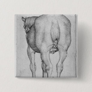 Pferd, vom Vallardi Album Button
