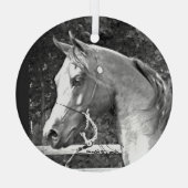 Pferd von Hevener Ornament Aus Glas (Rückseite)
