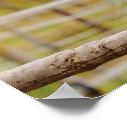 Pferd vor der Tür Poster (Ecke)