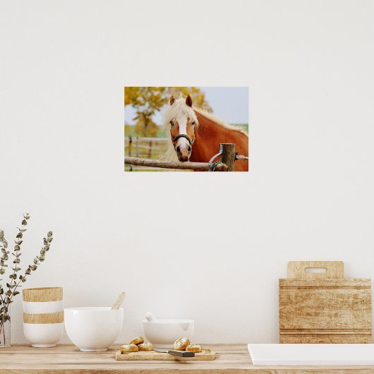 Pferd vor der Tür Poster (Küche)
