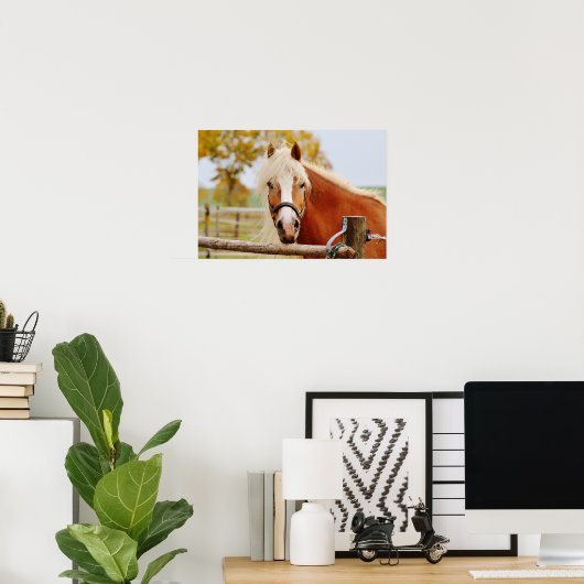 Pferd vor der Tür Poster (Heimbüro)