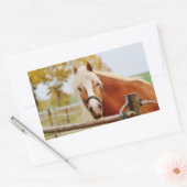 Pferd vor der Tür Rechteckiger Aufkleber (Umschlag)