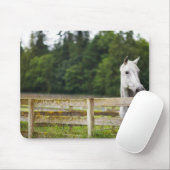 Pferd vor Ort, das über den Zaun schaut Mousepad (Mit Mouse)