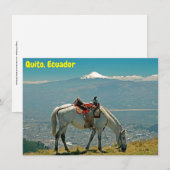 Pferd & Vulkan, Quito, Ecuador (Vorne/Hinten)