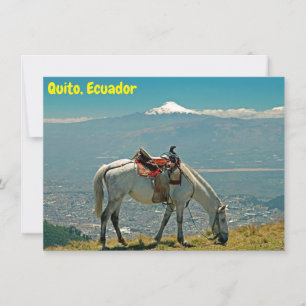 Pferd & Vulkan, Quito, Ecuador