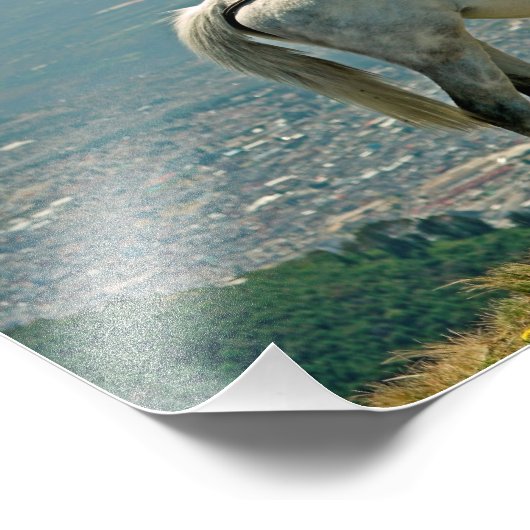 Pferd & Vulkan, Quito, Ecuador Fotodruck (Ecke)