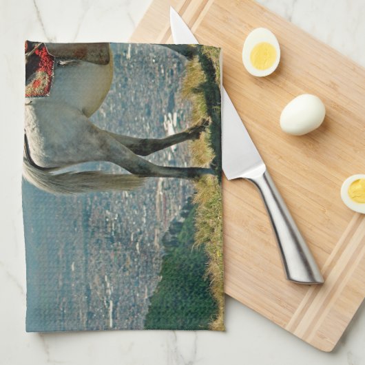 Pferd & Vulkan, Quito, Ecuador Geschirrtuch (Viertel Falte)