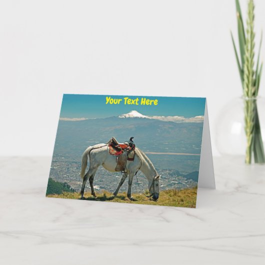 Pferd & Vulkan, Quito, Ecuador Karte (Vorderseite)