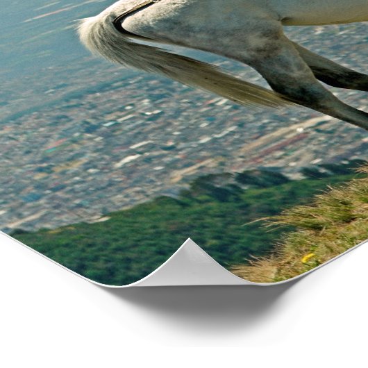 Pferd & Vulkan, Quito, Ecuador Poster (Ecke)