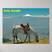 Pferd & Vulkan, Quito, Ecuador Poster (Vorne)