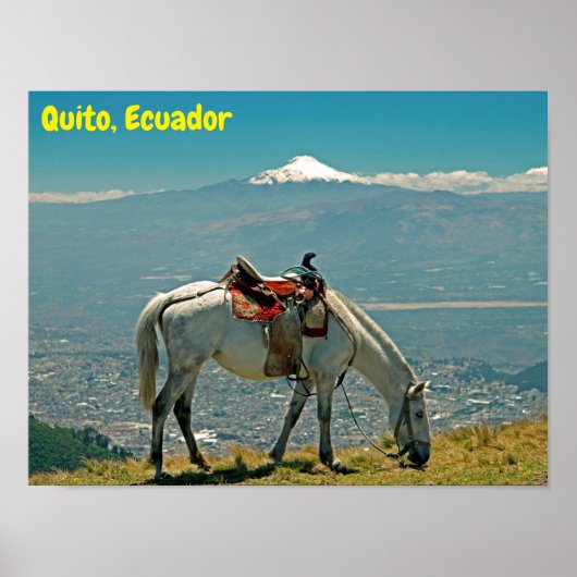 Pferd & Vulkan, Quito, Ecuador Poster (Vorne)
