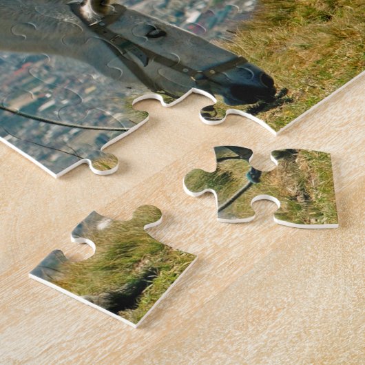 Pferd & Vulkan, Quito, Ecuador Puzzle (Seite)