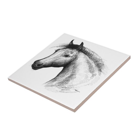 Pferd: Weiß Fliese (Seite)