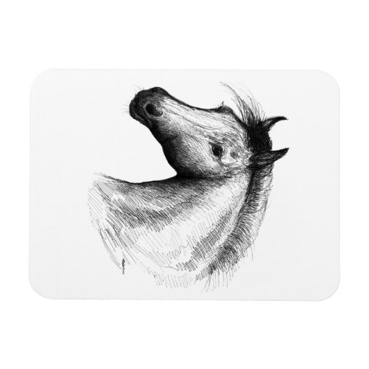 Pferd: Weiß Magnet (Horizontal)