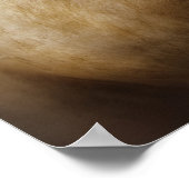 Pferd - Weißer Hengst Poster (Ecke)