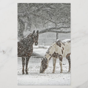Pferd Winter Schnee Bauernhof Ranch Tiere schneebe Briefpapier