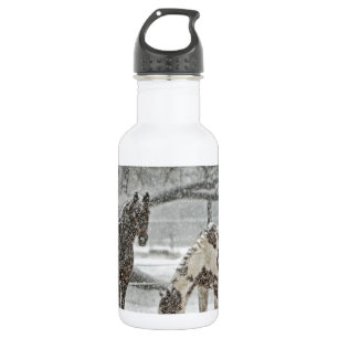 Pferd Winter Schnee Bauernhof Ranch Tiere schneebe Trinkflasche