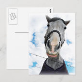 Pferd wird schwatzen - Funny Face Postkarte (Vorne/Hinten)