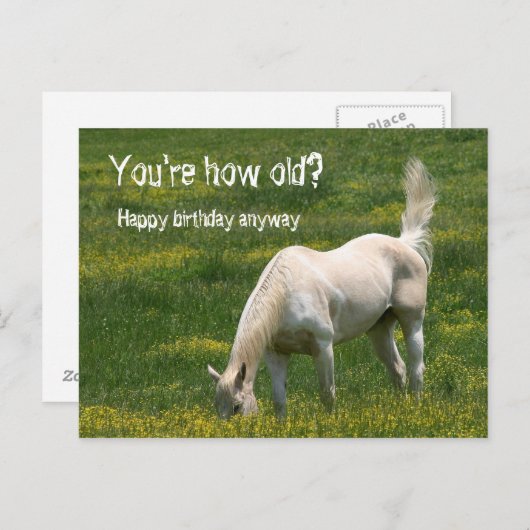 Pferd zum Geburtstag Postkarte (Vorne/Hinten)