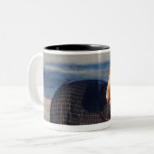 Pferd Zweifarbige Tasse (Vorderseite Links)
