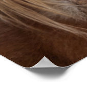 PferdBangs Poster (Ecke)