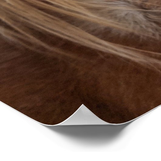 PferdBangs Poster (Ecke)