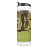 Pferde 11 thermosbecher (Nach rechts gedreht)