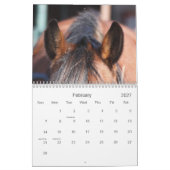 Pferde 2012 der Liebe I Kalender (Feb 2027)