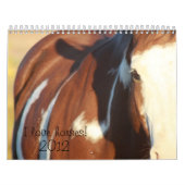 Pferde 2012 der Liebe I Kalender (Titelbild)