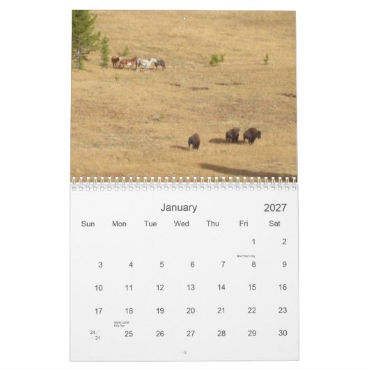 Pferde 2012 der Liebe I Kalender (Jan 2027)
