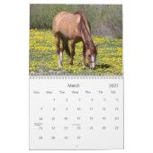 Pferde 2012 der Liebe I Kalender (Mär 2027)