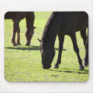 Pferde 2 mousepad