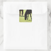 Pferde 2 quadratischer aufkleber (Tasche)