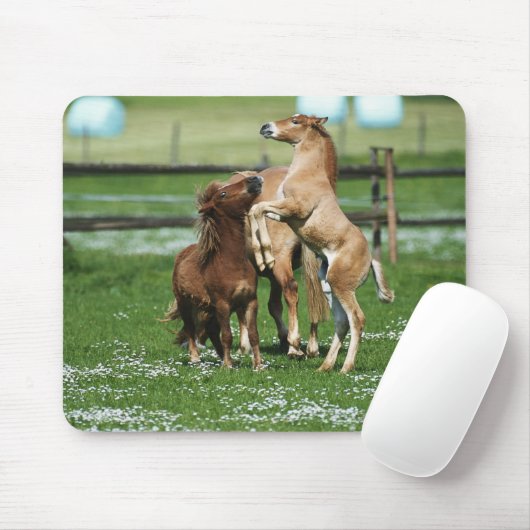Pferde 3 mousepad (Mit Mouse)