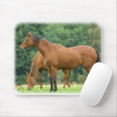 Pferde 9A81D-10 Mousepad (Mit Mouse)