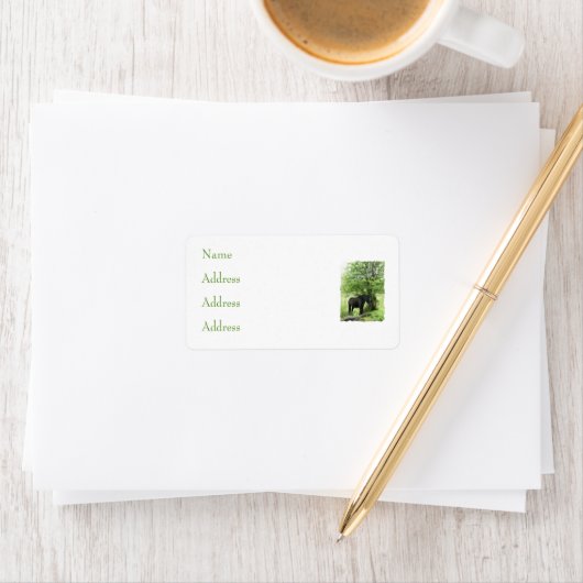 PFERDE ADRESSAUFKLEBER (Insitu)