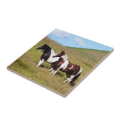 Pferde am Hang Fliese (Seite)