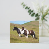 Pferde am Hang Postkarte (Stehend Vorderseite)