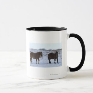 Pferde am Kap Kiritappu, Hokkaido-Präfektur, Tasse