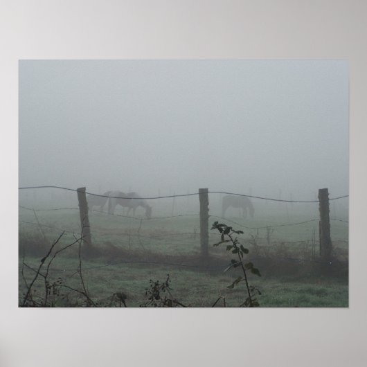 Pferde am Morgen Nebel Poster (Vorne)
