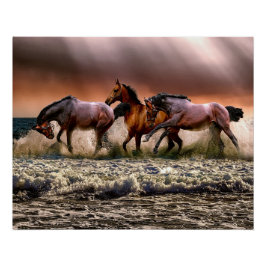 Pferde am Strand Poster