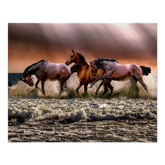 Pferde am Strand Poster (Vorderseite)